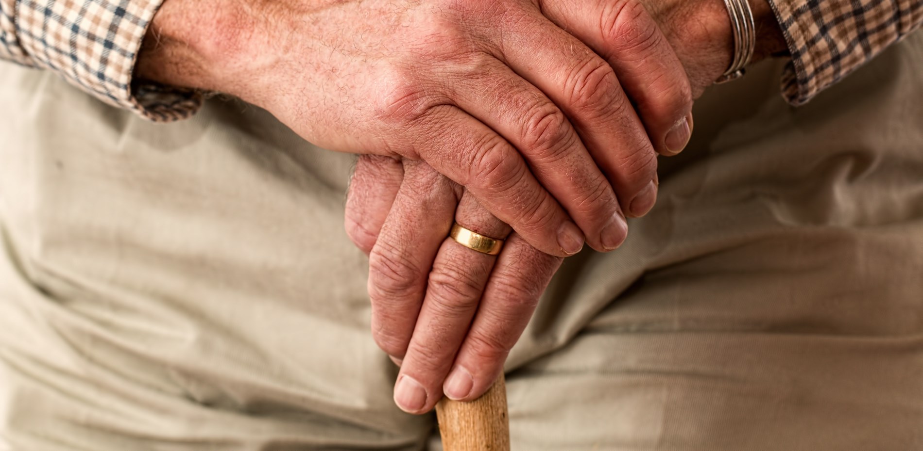 NSW Government failing to address Elder Abuse Main Image